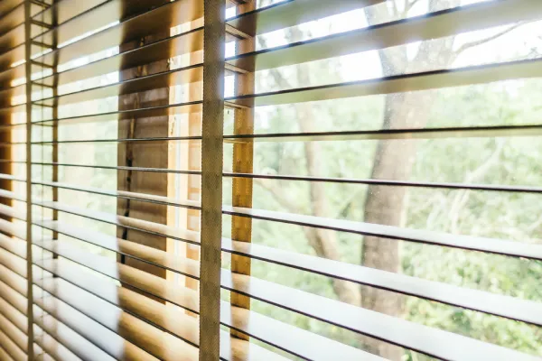 Custom Blinds and Shades