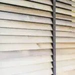 Motorized Blinds