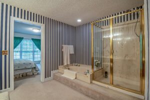 Shower Door in Chicago